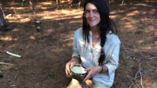 Making a Pine bark basket Way of the Earth School