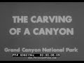 “CARVING OF A CANYON”  1950s MULE RIDE INTO GRAND CANYON NATIONAL PARK   EDUCATIONAL FILM XD66194c