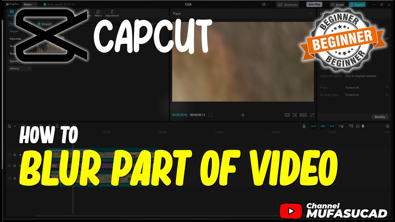 CapCut How To Blur Part Of Video - YouTube