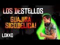 Lokko: Reacción a Los Destellos - Guajira Sicodélica