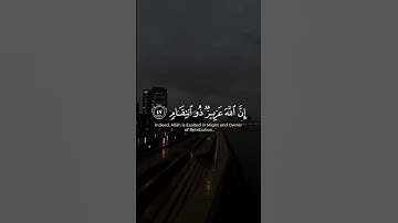 "تلاوة تأخذك لعالم من الخشوع والتدبر" // اكتب شيء تؤجر عليه 🙂♥️