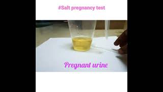 Pregnancy test using salt #pregnancytest #homepregnancytest