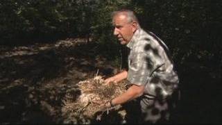 Marcel Mézy, inventeur d'un compost naturel (Aveyron)