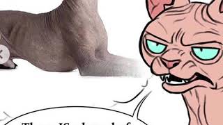 Mr wrinkles and Lola comic
