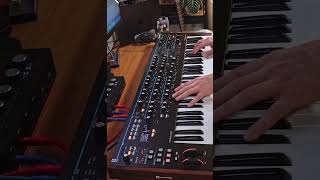 測試Novation Summit 16 聲部複音合成器。