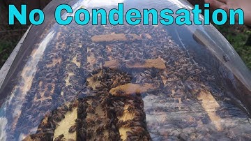 🔵2 in 1 hive sharing heat for better wintering and Spring development