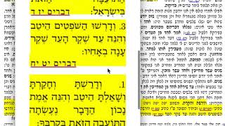 דף היומי סנהדרין מ׳ 4️⃣0️⃣ ששי ג׳ אלול תשע״ז להצלחת אלקנה נבון בן שמואל