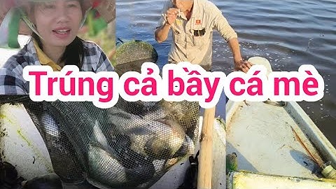 Thăm dớn bằng xuồng trên ruộng mùa nước lũ