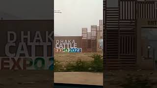 Dhaka Cow Exapo 2023