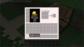 Minecraft 1.8 Pre-Release Infinite Blocks Glitch