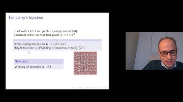 JIPS - 1/12/20 - Nathanael Berestycki (Vienna)