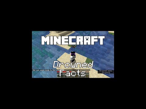 Minecraft Drowned Mob Facts