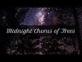 Midnight Chorus of Trees