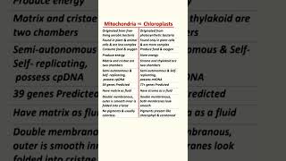 Self-Replicating Organelles Of The Cells Mitochondria And Chloroplast