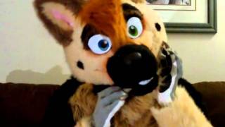 Celebrity Furry unmasking Profile