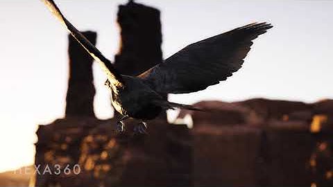 Fly Through Quixel Canyon (Unreal Engine 5)