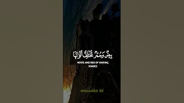 ألم ترى أن الله أنزل من السماء ماء ( #سورة_فاطر ) 🤲🤍