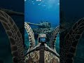 POV GoPro on a Turtle finds a Korean War Relic