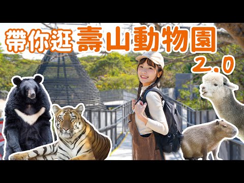 壽山動物園重新開幕！天空步道、水豚山屋、黑熊廊道、4大玩法親水廣場，斥資5.5億果然又美又舒適，看到好多意想不到的畫面| Haven在高雄