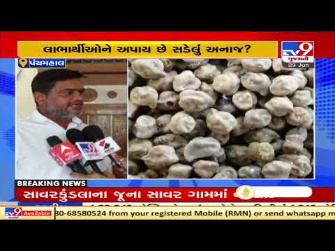 Decayed food grains found from a fair price shop in Panchmahal, locals fume | TV9News