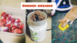 Cooking chicken gizzards for my cats|Homemade cat food|