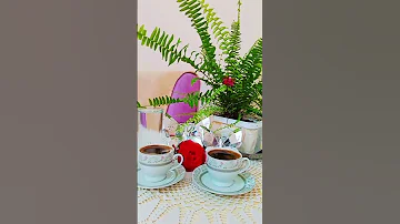 حالة وتس اغنيه حسين الديك هي هي 