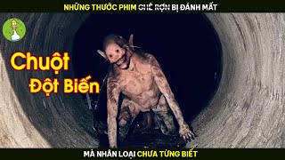 Review Phim Những Thước Phim Gh Ê Rợ N Bị Chôn Vùi Mà Nhân Loại Chưa Từng Biết