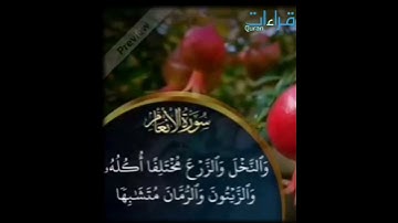 تلاوة 🎧 تجعلك تتأمل دلائل الله سبحانه و تفكر في قدرته ✨ من سورة الأنعام للقارئ عبدالرحمن الزواوي ..