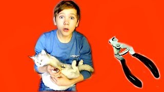 БЕДНАЯ моя КОШЕЧКА Марфа! Как же тебе из-за МЕНЯ было БОЛЬНО... БЕДНАЯ моя КОШЕЧКА Марфа! Как же тебе из-за МЕНЯ было БОЛЬНО...