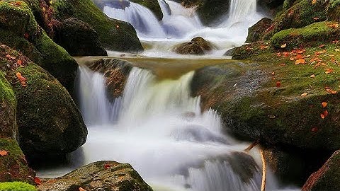 سورة الزمر من( ٤٨ إلى ٥٦) بصوت أيمن السويد 🌺🌺