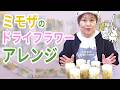ミモザのドライフラワーアレンジ｜キャンドル作りや香りのプレート
