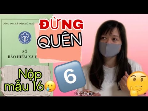 Đừng quên nộp mẫu 16 bảo hiểm thất nghiệp đúng hẹn | Đừng nộp thông báo tìm kiếm việc làm trễ hạn(6)