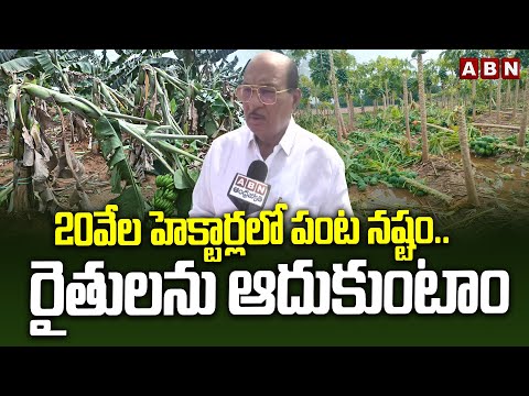 20వేల హెక్టార్లలో పంట నష్టం..రైతులను ఆదుకుంటాం | MLA Buchaiah Chowdary On Farmers Crops Lost | ABN - ABNTELUGUTV