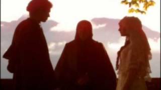 Reach For The Sky - Social Distortion