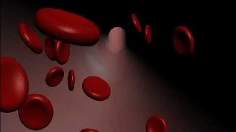 Bloodcells (Particle System) - Created with 3DS Max