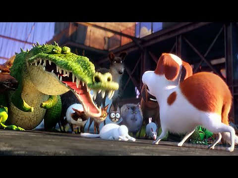 Las mascotas causan