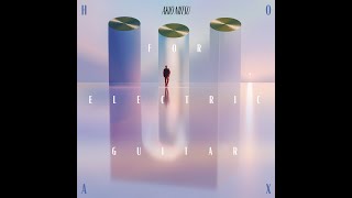 HOAX FOR ELECTRIC GUITAR (LP)/AKIO NIITSU/新津章夫/新津章夫の新た