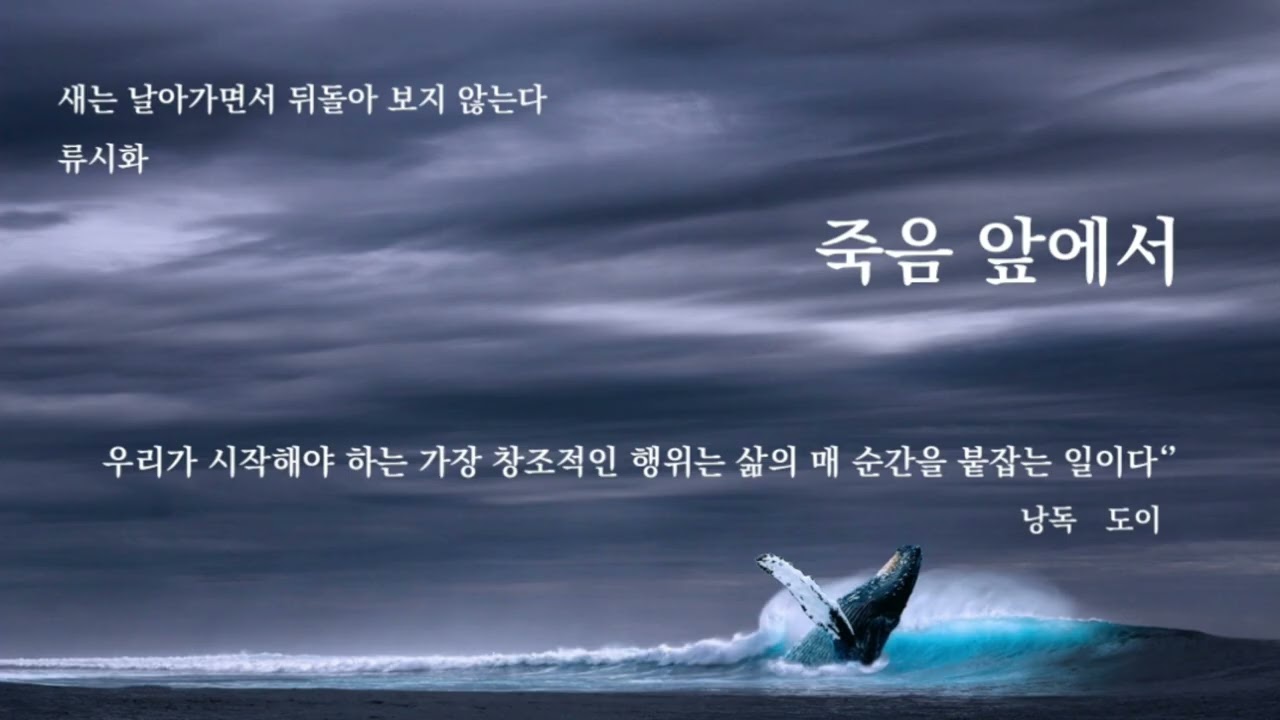 죽음 앞에서 | 새는 날아가면서 뒤돌아보지 않는다 | 류시화산문집