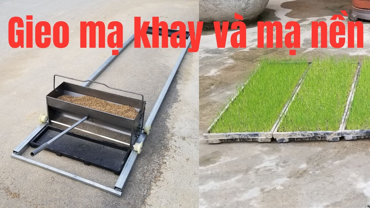 Máy Gieo Mạ Thanh Phong 2024 - Máy gieo mạ khay