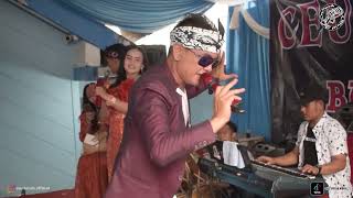 Download Lagu CEU TARSIH DAUN HIRIS NAEK KA MITRA LIVE PERFORM CIKUTRA MP3