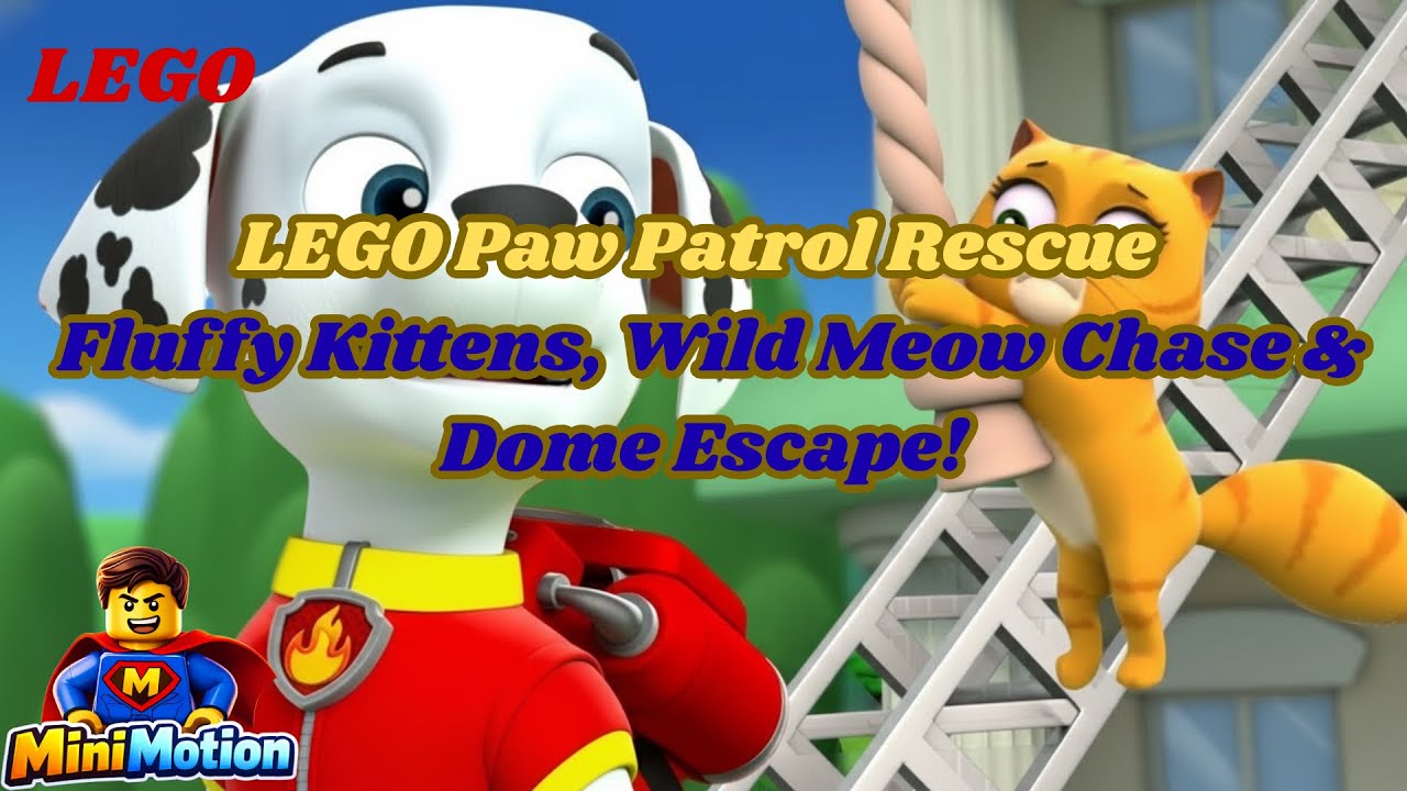 Fluffy Kittens, Wild Meow Chase & Dome Escape