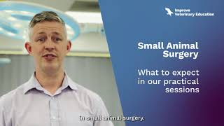 Small Animal Surgery - Elevate your skills and achieve a Postgraduate Certificate screenshot 3