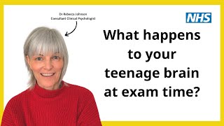 What happens to your teenage brain at exam time?