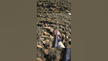 Pengendalian Hama Babun Secara Intensif...Berburu Babun dari Helikopter!
