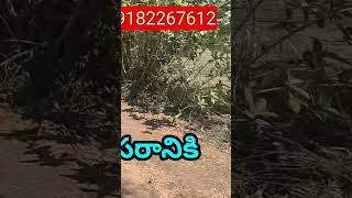 @agriculture land for sale