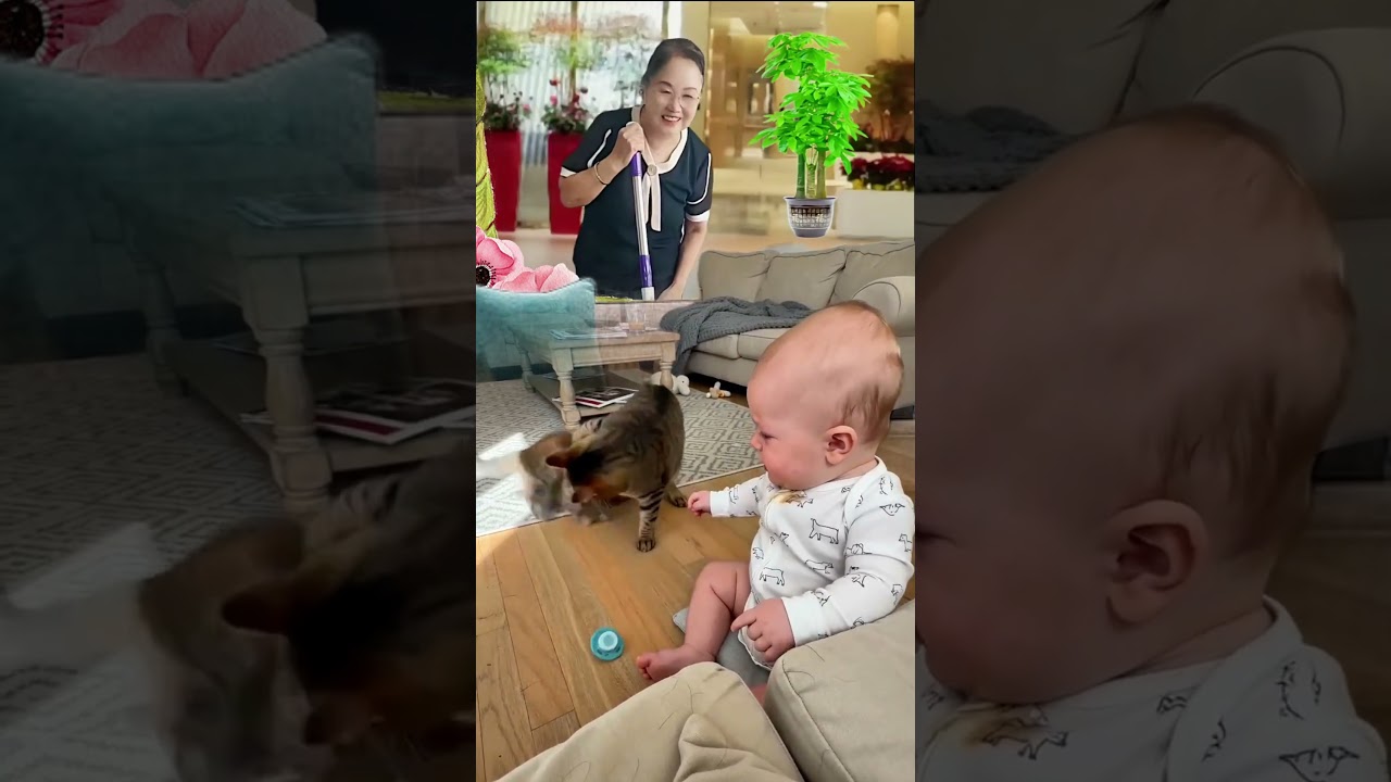 baby playing with cat 😂 아기 거 뺏어간 아기 고양이, 엄마 고양이가 바로 회수 완료 😆💖💜