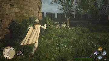 Hogwarts Legacy Bug PS5