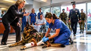 She Treated a Military Dog and Got Fired for It… Then the Canadian Armed Forces Showed Up at the...