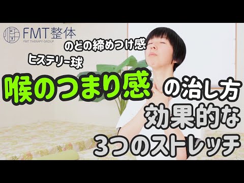 FMT整体の枕を使ったエクササイズ集   YouTube