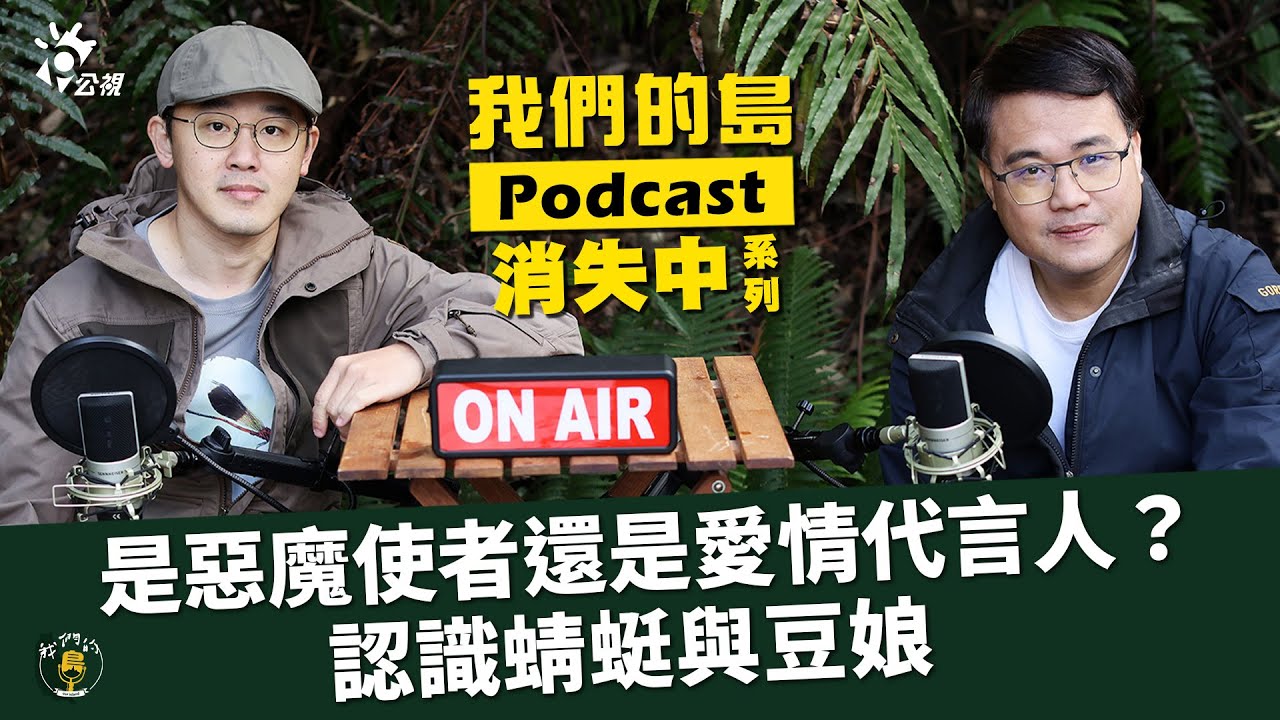 【消失中】惡魔使者還是愛情代言人？蜻蜓豆娘秘密知多少｜feat. 李宜龍 台灣蜻蜓學會祕書長｜逐漸看不見滿天飛舞的蜻蜓｜公視我們的島 Podcast@EP.41